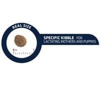 Advance Dog Mini Puppy 7кг - пилешко и ориз - 2