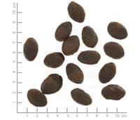 WOLFSBLUT WILD PACIFIC ADULT - 4 Вида рибa с картофи 12.5кг - 2