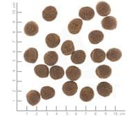 WOLFSBLUT VETLINE GASTROINTESTINAL - Патешко месо със... - 2