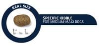 Advance Dog Medium Maxi Adult Sensitive Salmon 12кг - 2