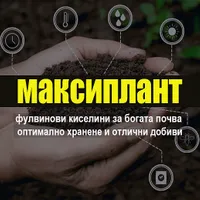 Максиплант - 0