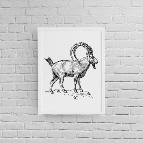 Постер с рамка &amp;quot;Алпийски козирог&amp;quot; - 1
