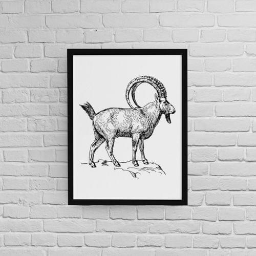 Постер с рамка "Алпийски козирог" - 2