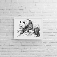 Постер с рамка "Панда" - small - 1