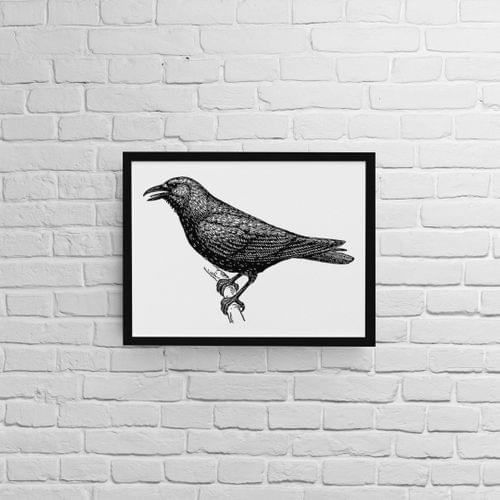 Постер с рамка &amp;quot;Американска врана&amp;quot; - 1