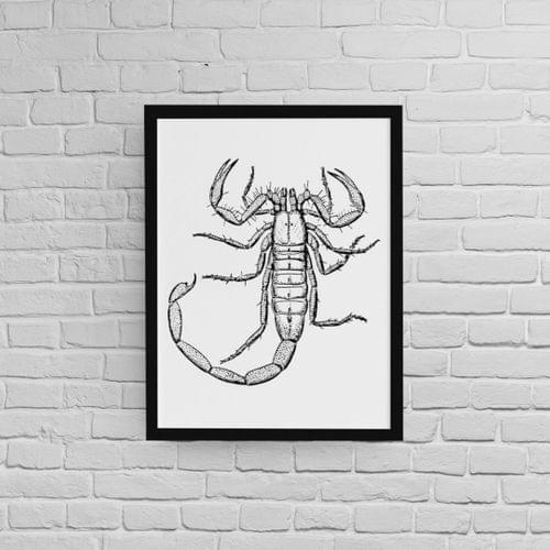 Постер с рамка &amp;quot;Скорпион&amp;quot; - 1