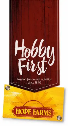 HobbyFirst Hope Farms