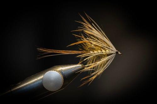 French Partridge May Fly French Partridge May Fly