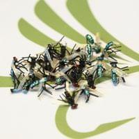 X-true Blue Fly - 2