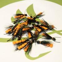 Roque Giant Salmon - 2