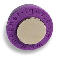 Магнит за мухи Magnet-Ique MagMicro Purple - 2