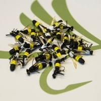 X-True Bumble Bee White - 2