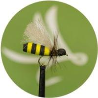Medium Wasp Fly - 1