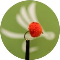 Egg Fly Red Orange - 1