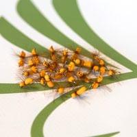 Orange Hi-Viz Foam Ant - 2