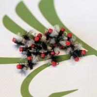 Red But Ant - 2