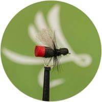 Red But Ant - 1