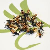 X-True Honey Bee Orange - 2