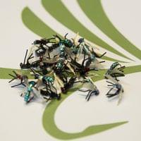 X-True Green Fly - 2