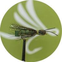 Roque Giant Olive - 1