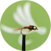 Tungsten Peacock Pheasant Tail Nymph - 1