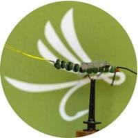 X-True Ephemera Danica Olive - 1