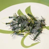 X-True Ephemera Danica Olive - 2