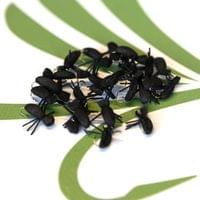 Black Beetle Fly - 2