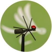 Hi-Viz Fitted Foam Ant - 1