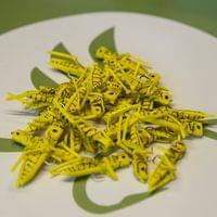 X-True Flying Hopper Yellow - 2