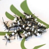 Double Hackle Chernobyl Ant - 2