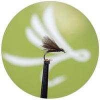 CDC Sedge Black Body - 1 CDC Sedge Black Body - 1
