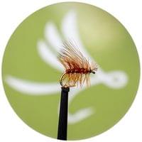 Elk Hair Caddis Brown Body - 1 Elk Hair Caddis Brown Body - 1
