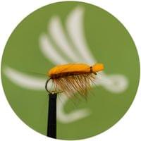 Tonis Orange Foam Beetle - 1