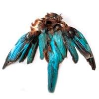 Кожа Kingfisher Full Skin - 2