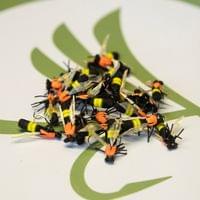 X-True Bumble Bee Orange - 2