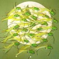 Green Arrow Superb Popper - 2