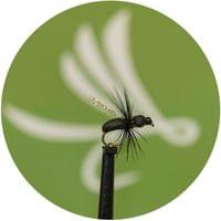 Magic Wing Flying Ant - 1