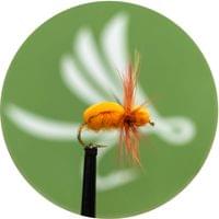Cocchaffer Fly - 1
