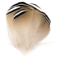 Пера от патица Woodduck Lemon Black White Barred - 1