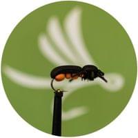 Fire Fly - 1