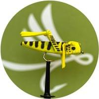 X-True Flying Hopper Yellow / Black - 1
