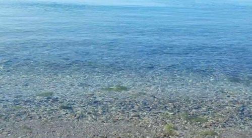 Пробуждане и изцеляване на Женската енергия - 1