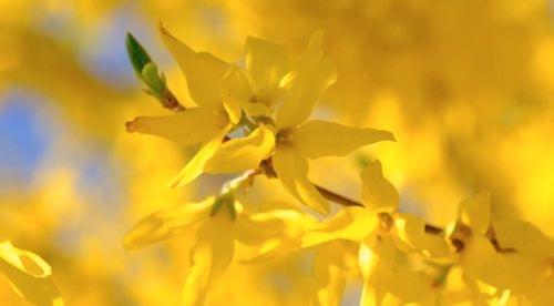 Благодарност към Вселената - 1