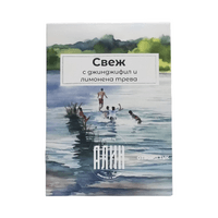 Свеж чай, с конец.Зелен чай, Джинджифил, Лимонена трева - 2