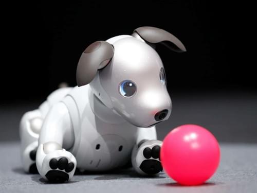 Кибер-кучето Aibo  от Sony се завръща!