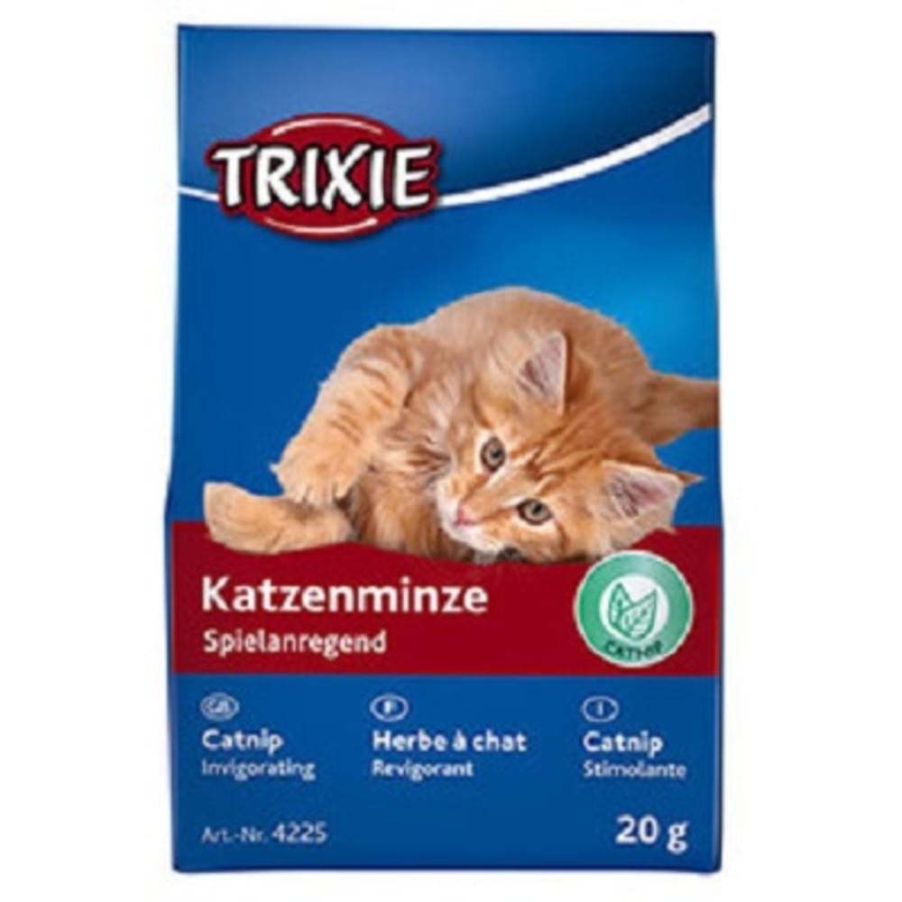 Котешка мента