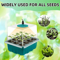 Лаборатория за растения - 3