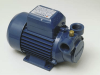 O.3030 - 920.D Помпа Pedrollo PQm 60 220V - 1