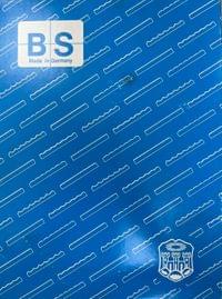 3180 mm - Банциг-лента 10x0.45 двустранно заточена x5... - 0